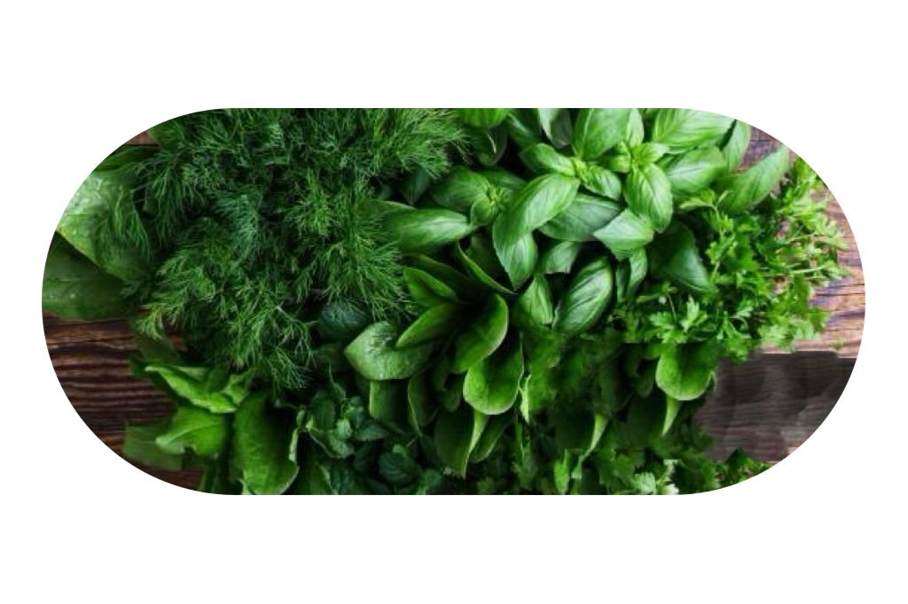 درباره شرکت ثناگل ایرانیان